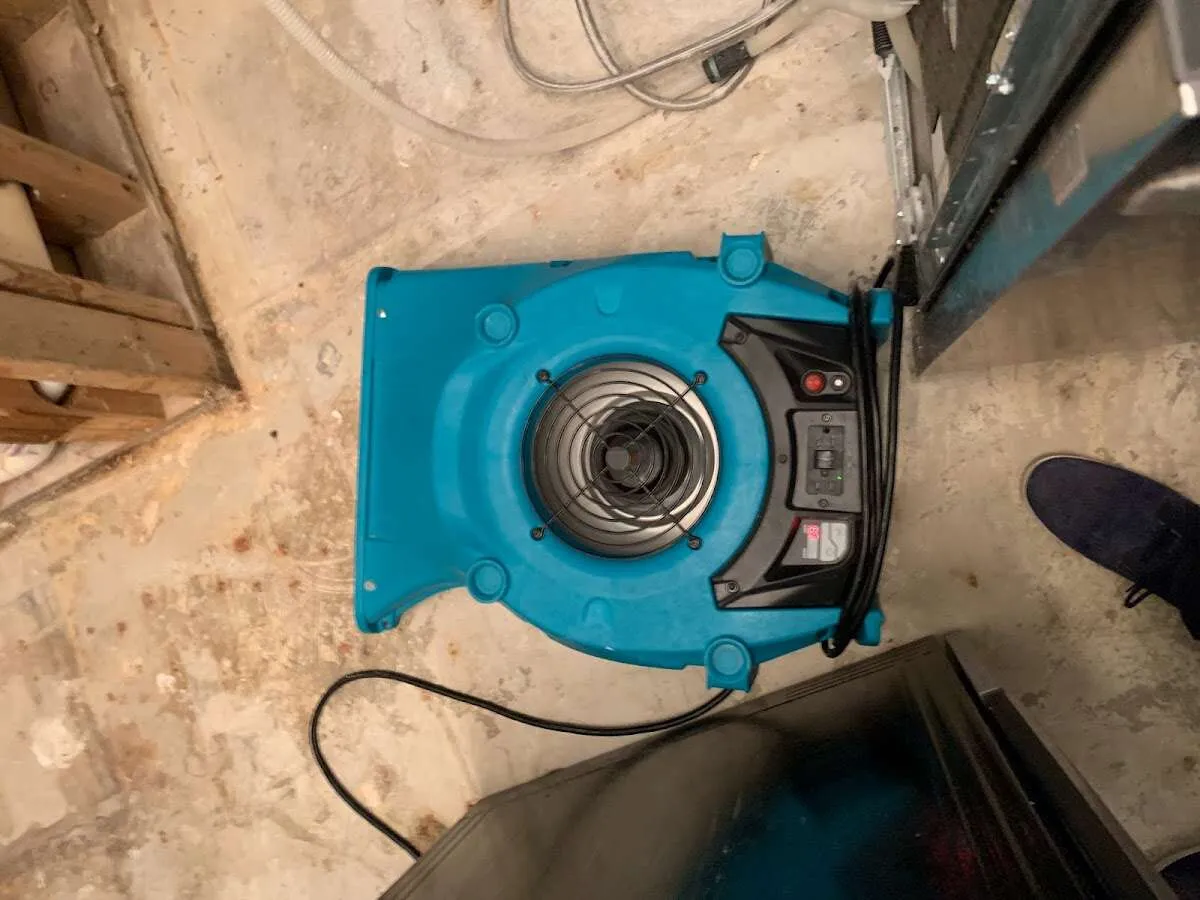 Air mover drying equipment for Mold Remediation & Removal in Monroe