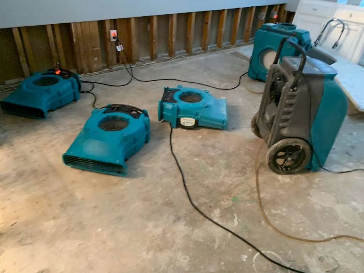 Water Damage Restoration services in Monroe, MI